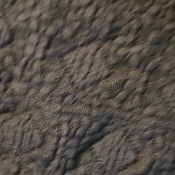 Free People Black Lace Women's Cami - Picture 2 of 4